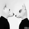 Neverdogs