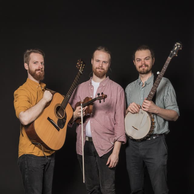 New Valley String Band