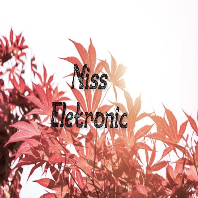 Niss Gui