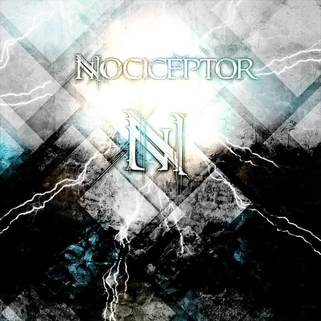Nociceptor
