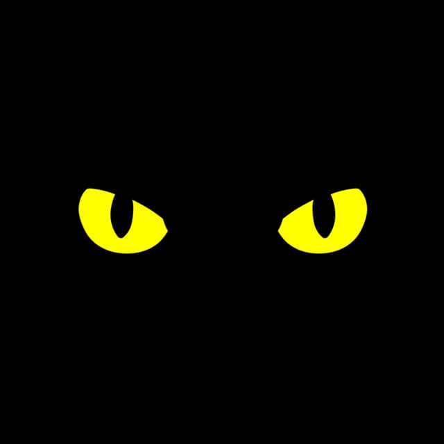 noctucat