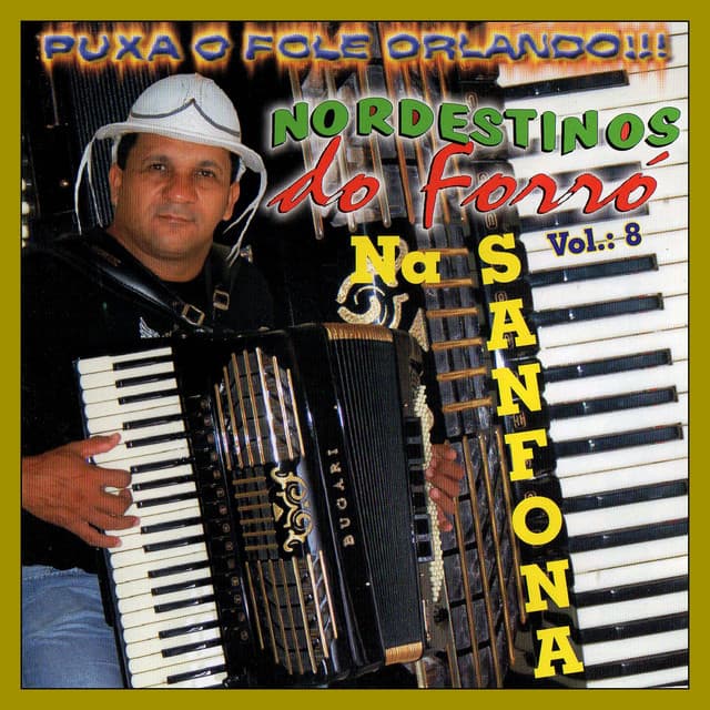 NORDESTINOS DO FORRÓ