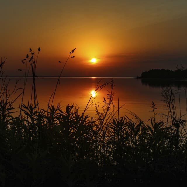 Northern Solace