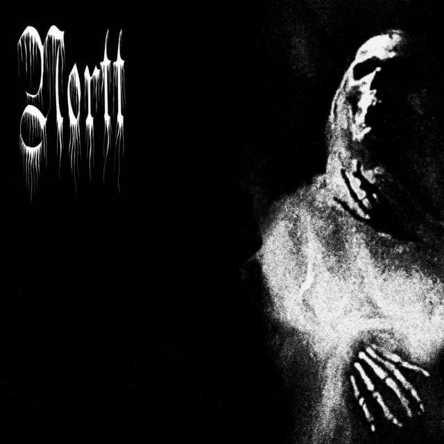 Nortt
