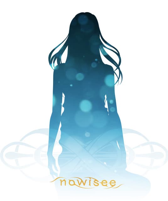 nowisee