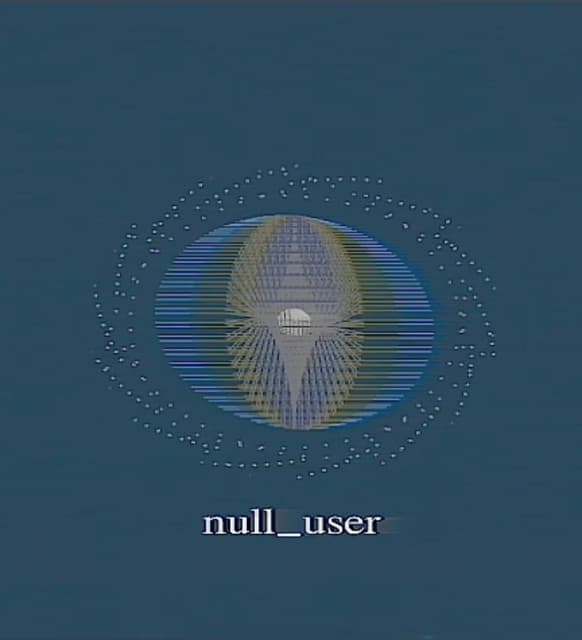 Null_user