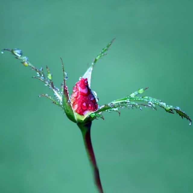 Nurture of Nature