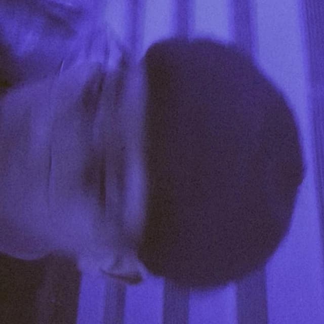 Nvcho wav