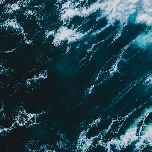 Oceanic Voices