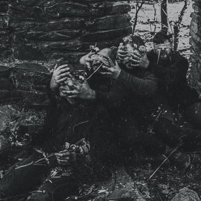 Of the Vine
