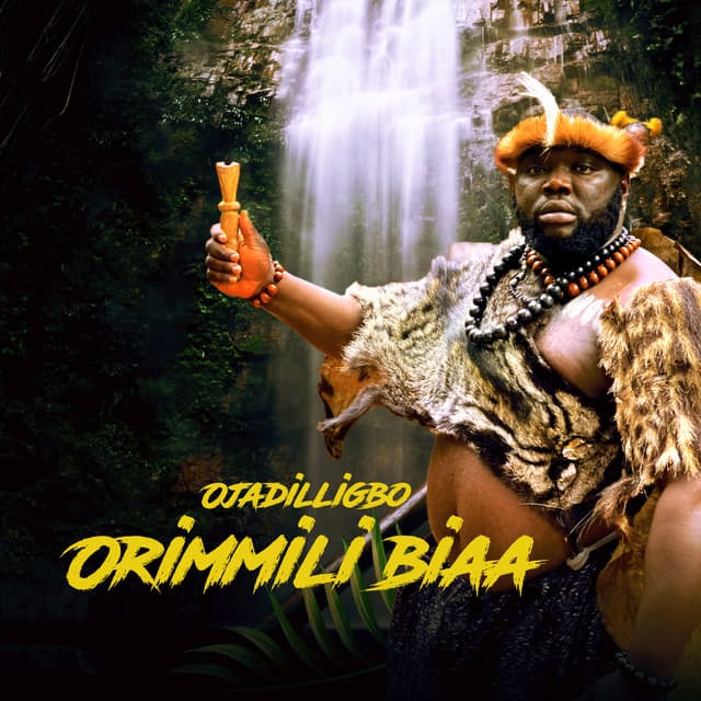 Ojadiliigbo