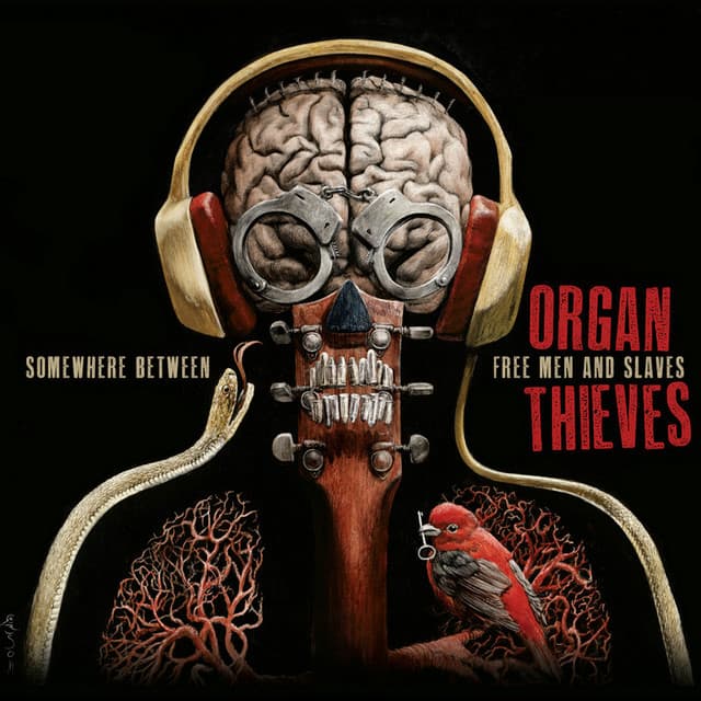 Organ Thieves