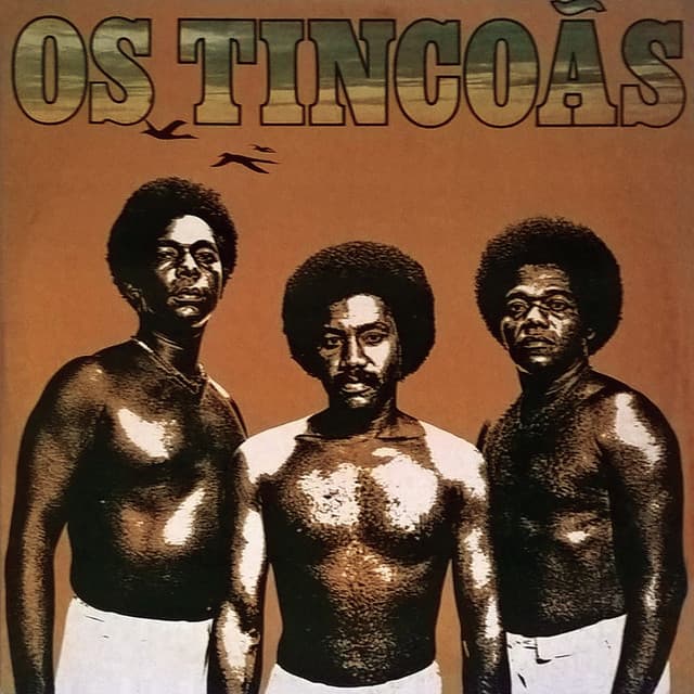 Os Tincoãs