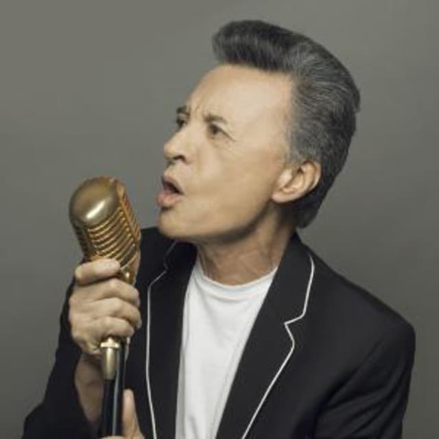 Palito Ortega