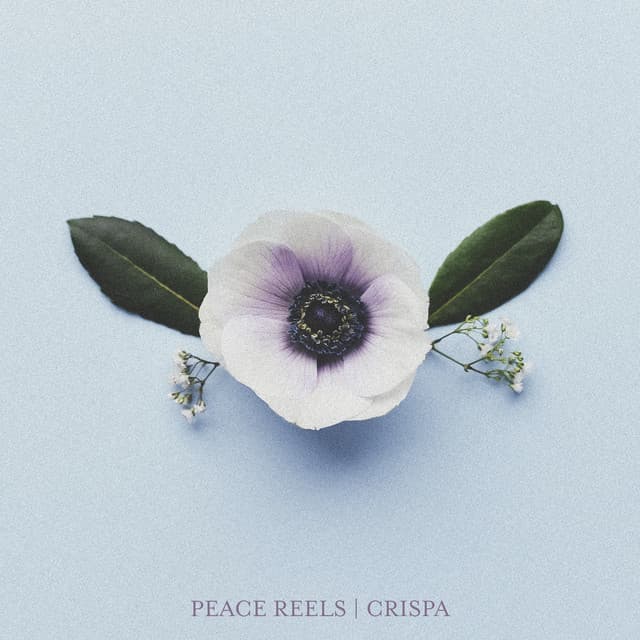 Peace Reels
