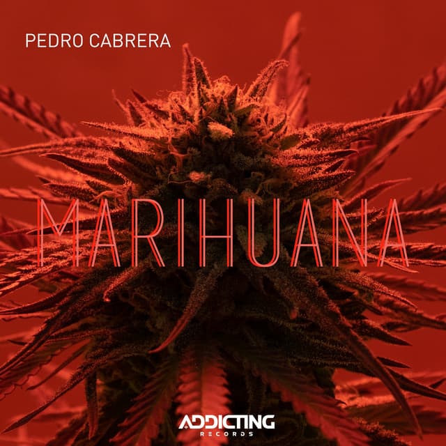 Pedro Cabrera