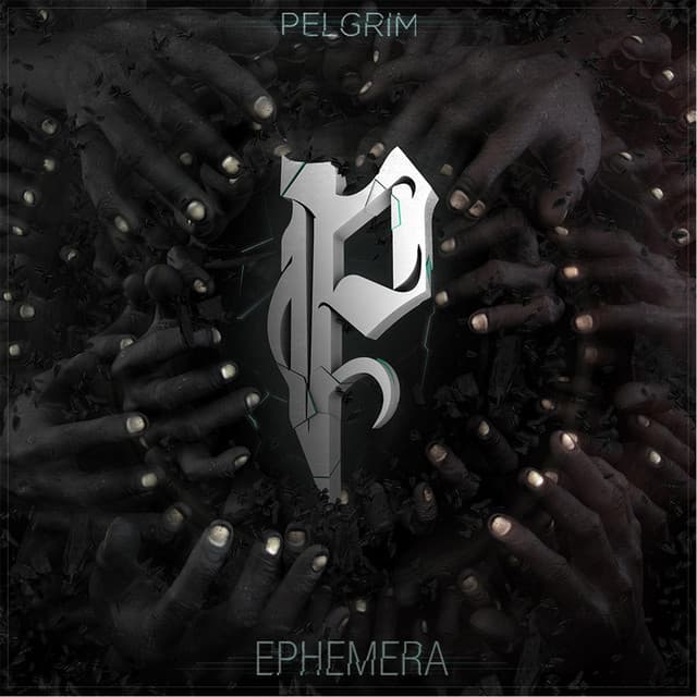 Pelgrim