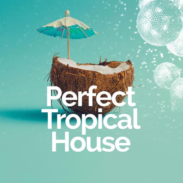 Perfect Tropical House