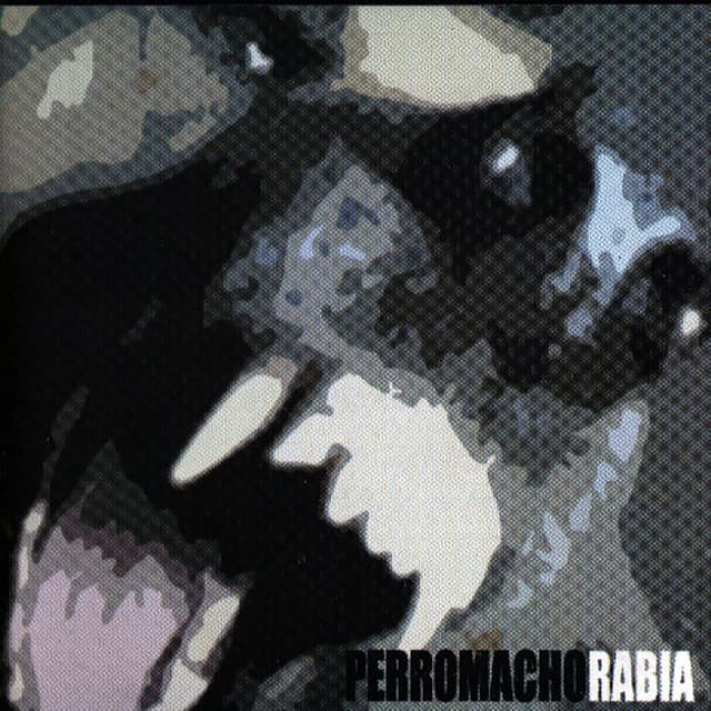 Perro Macho