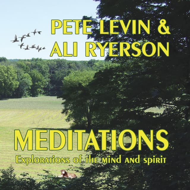 Pete Levin & Ali Ryerson