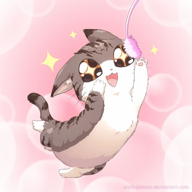 Phatazza Cat