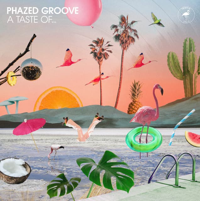 Phazed Groove