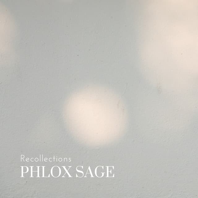 Phlox Sage