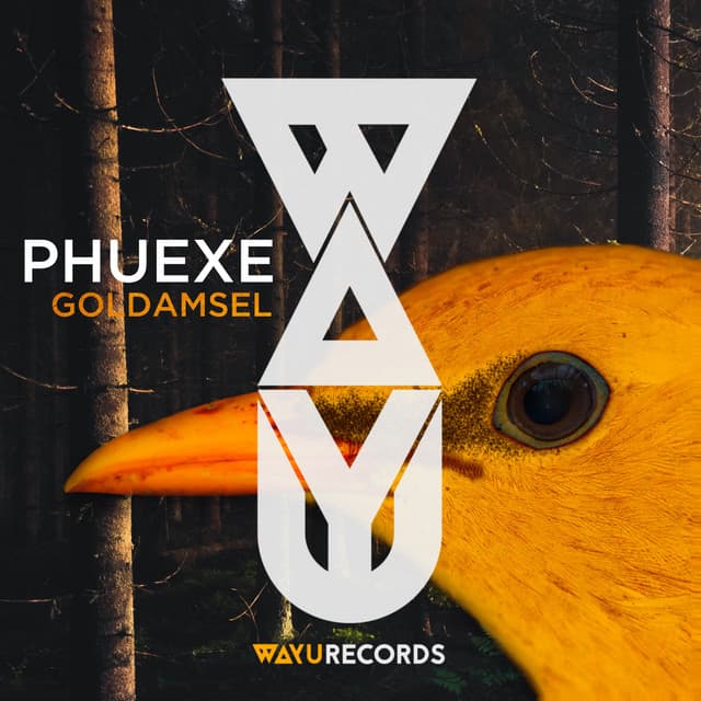PHUEXE