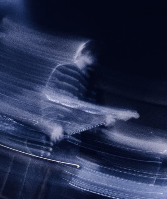 pilothead