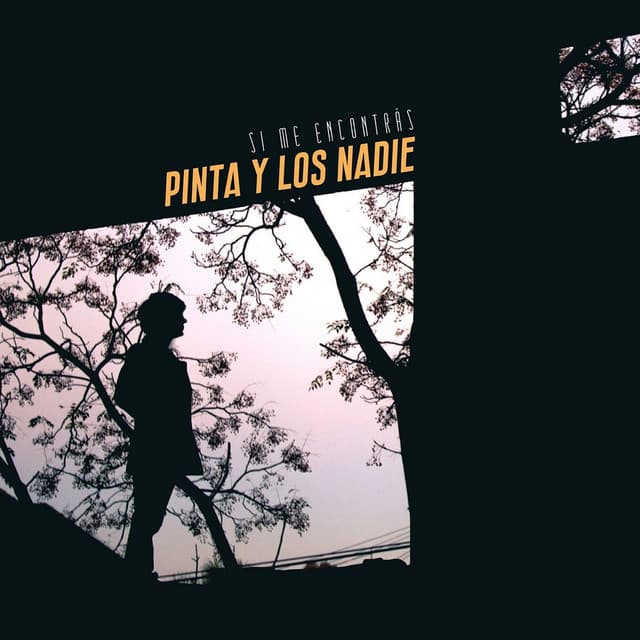 Pinta y los Nadie