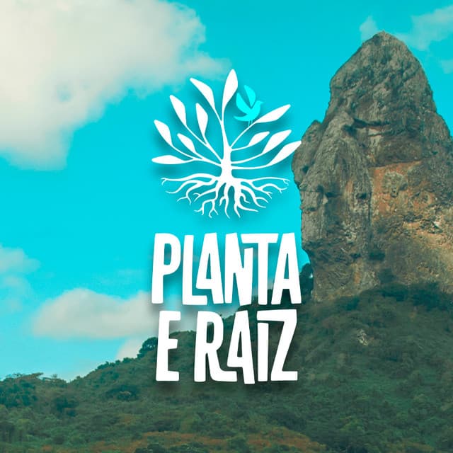 Planta E Raiz