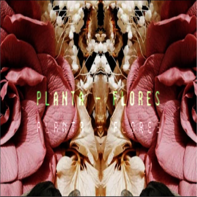 Plantas