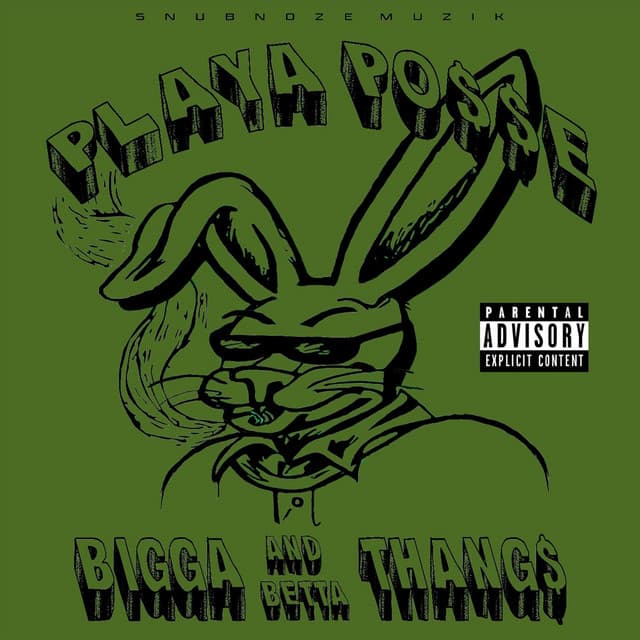 Playa Posse