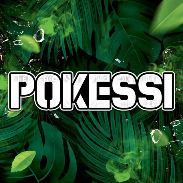 Pokessi