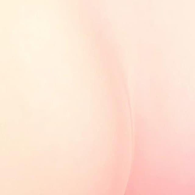Powder