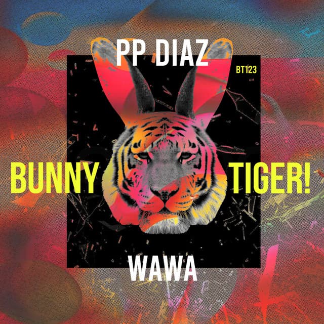 PP DIAZ