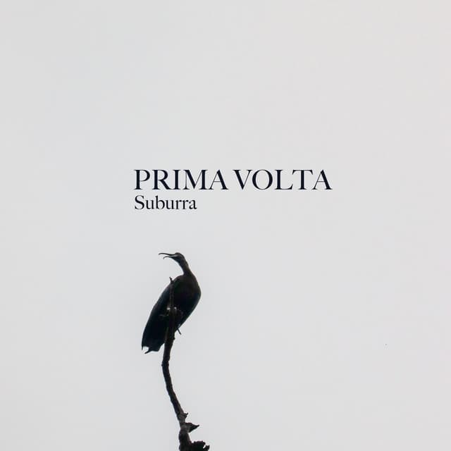 Prima Volta