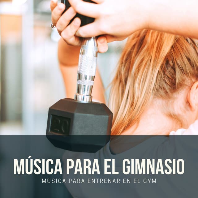Primeiro Treino
