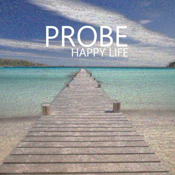 PROBE