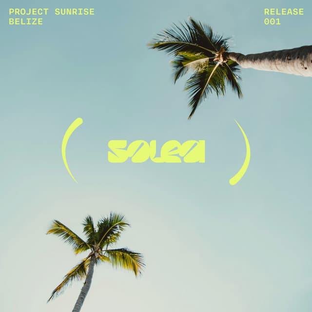 Project Sunrise
