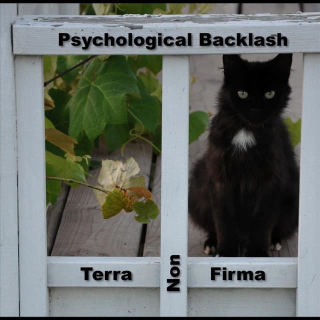 Psychological Backlash