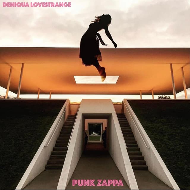 Punk Zappa