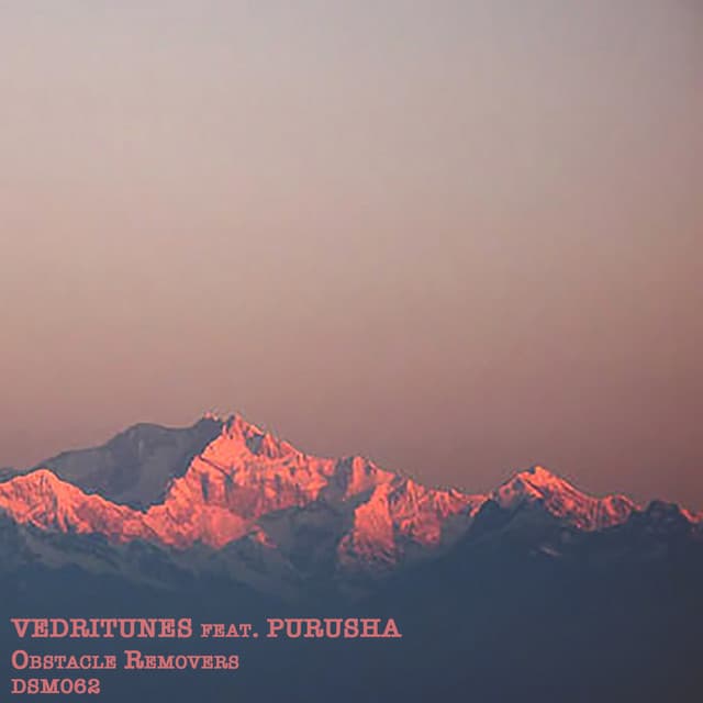 Purusha