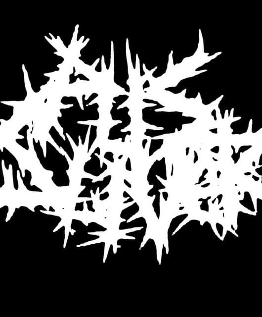 Pus Sliver