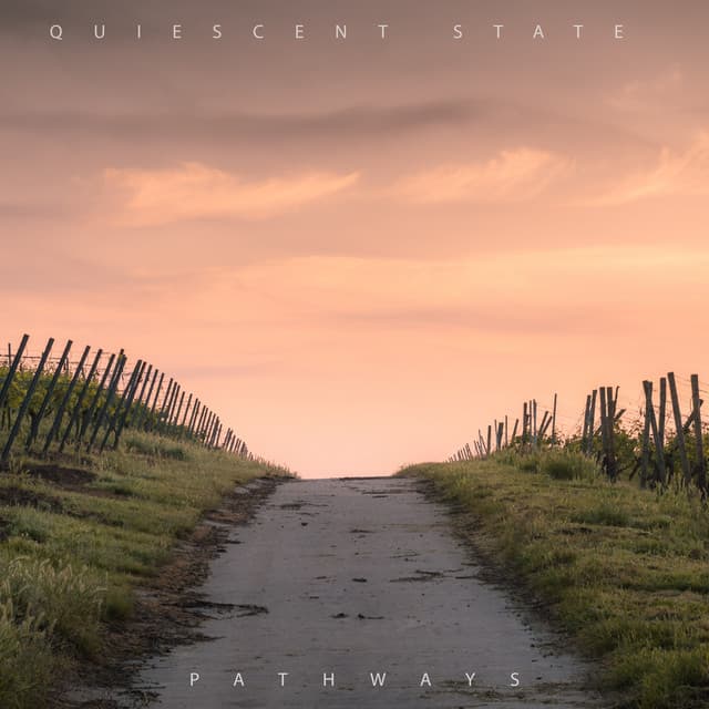 Quiescent State