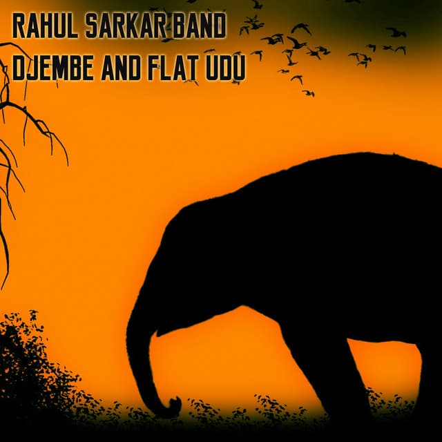 Rahul Sarkar Band