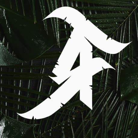 Rainforest