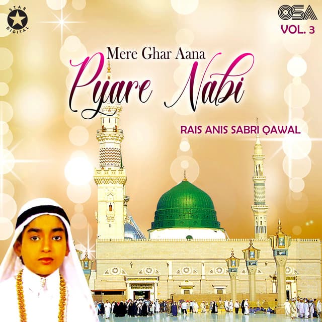 Rais Anis Sabri Qawal