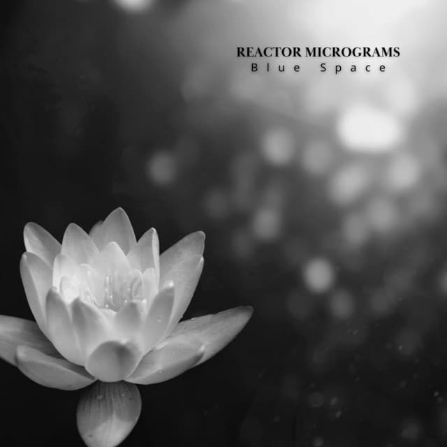 Reactor Micrograms