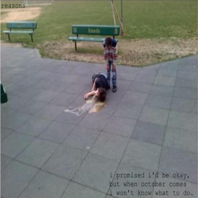 Reasons